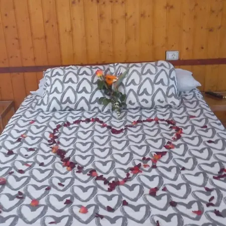 Agrocamping Invernaderito